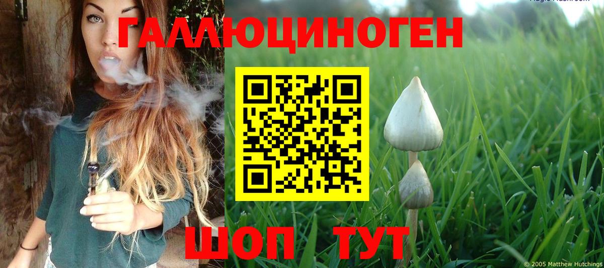 Галлюциногенные грибы мухоморы  Галлюциногенные грибы GOLDEN TEACHER  Вход с VPN  Сальск 